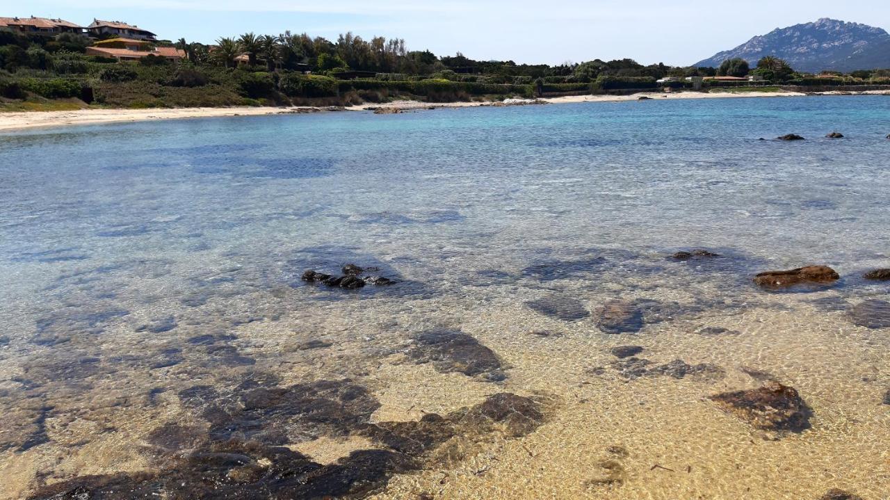 Lo Sguardo Sulla Citta' ,Panoramic View Daire Olbia Dış mekan fotoğraf