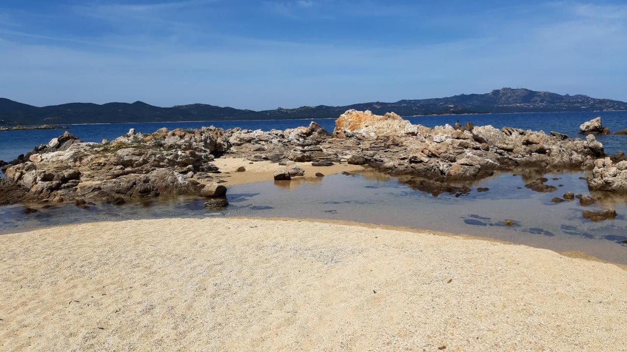 Lo Sguardo Sulla Citta' ,Panoramic View Daire Olbia Dış mekan fotoğraf